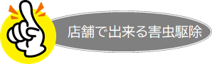 店舗で出来る害虫駆除